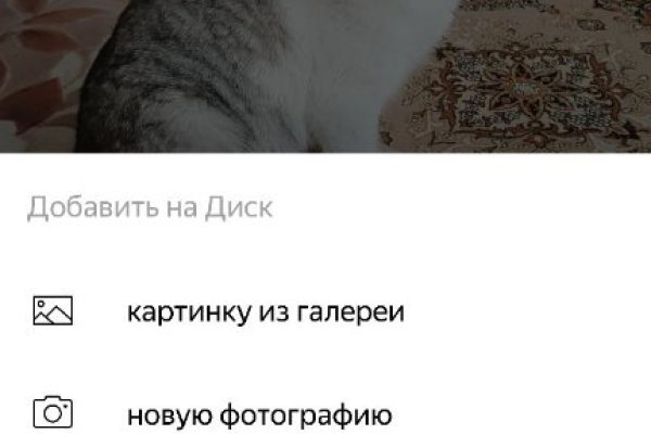 Каталог сайтов даркнет