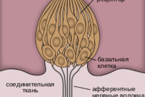 Кракен даркнет маркет ссылка тор